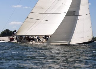 Winner, Northern Light